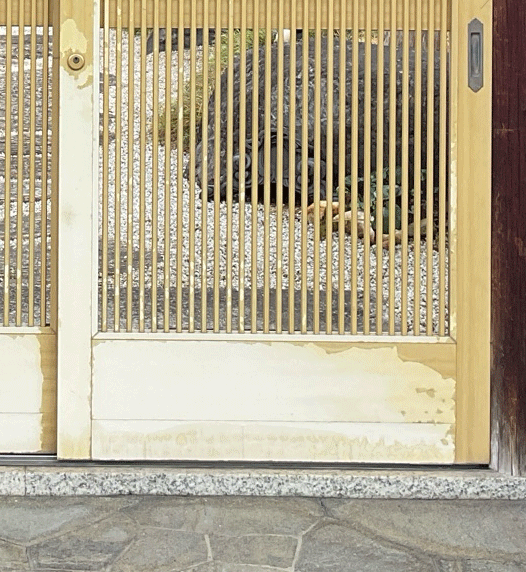 数寄屋門引き戸老化